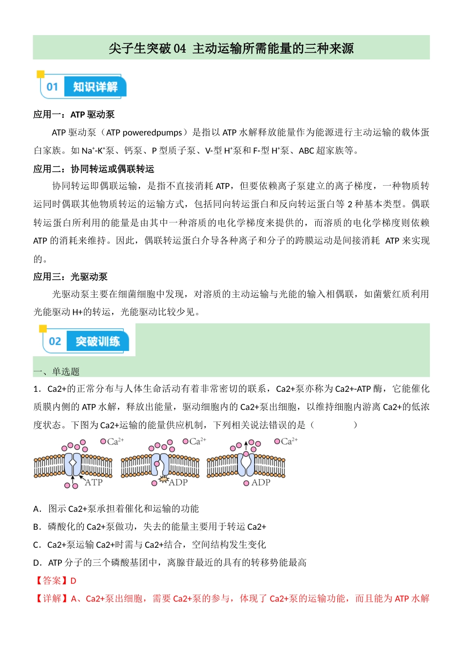 尖子生突破04 主动运输所需能量的三种来源(解析版).docx_第1页