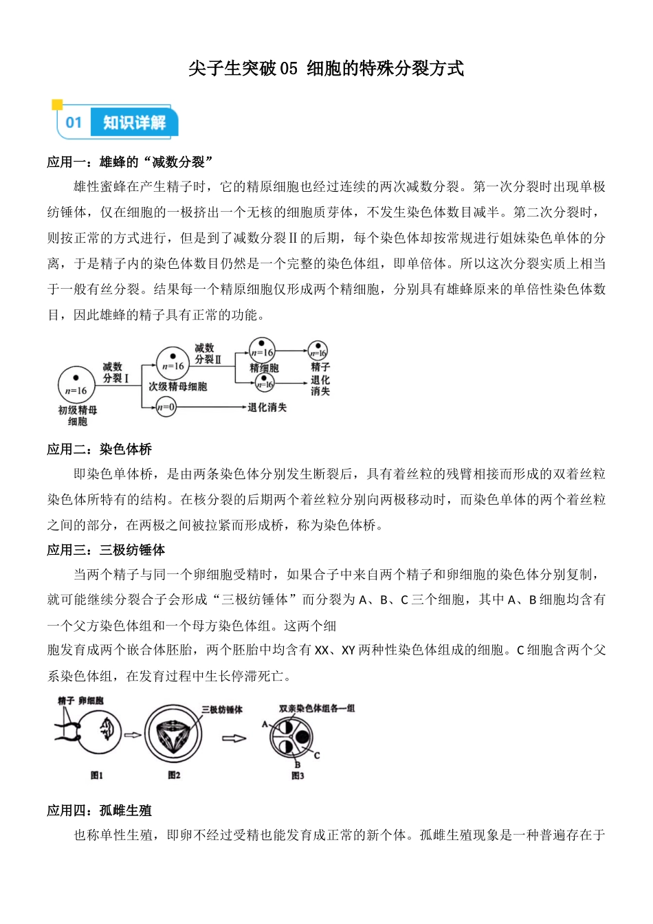 尖子生突破05 细胞的特殊分裂方式（原卷版）.docx_第1页
