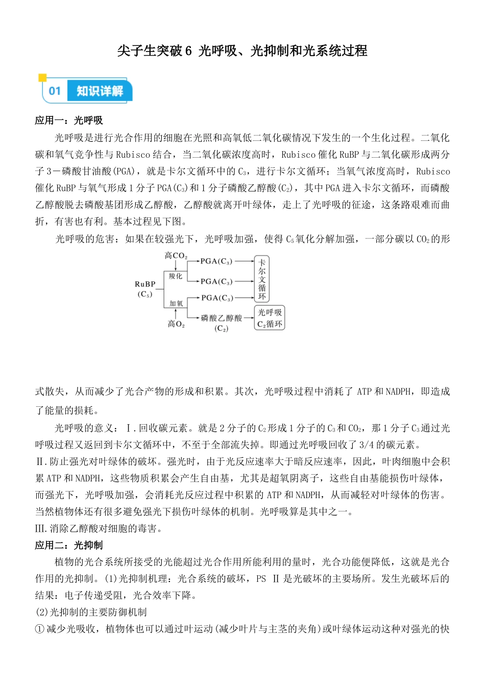 尖子生突破06 光呼吸、光抑制和光系统过程(解析版).docx_第1页