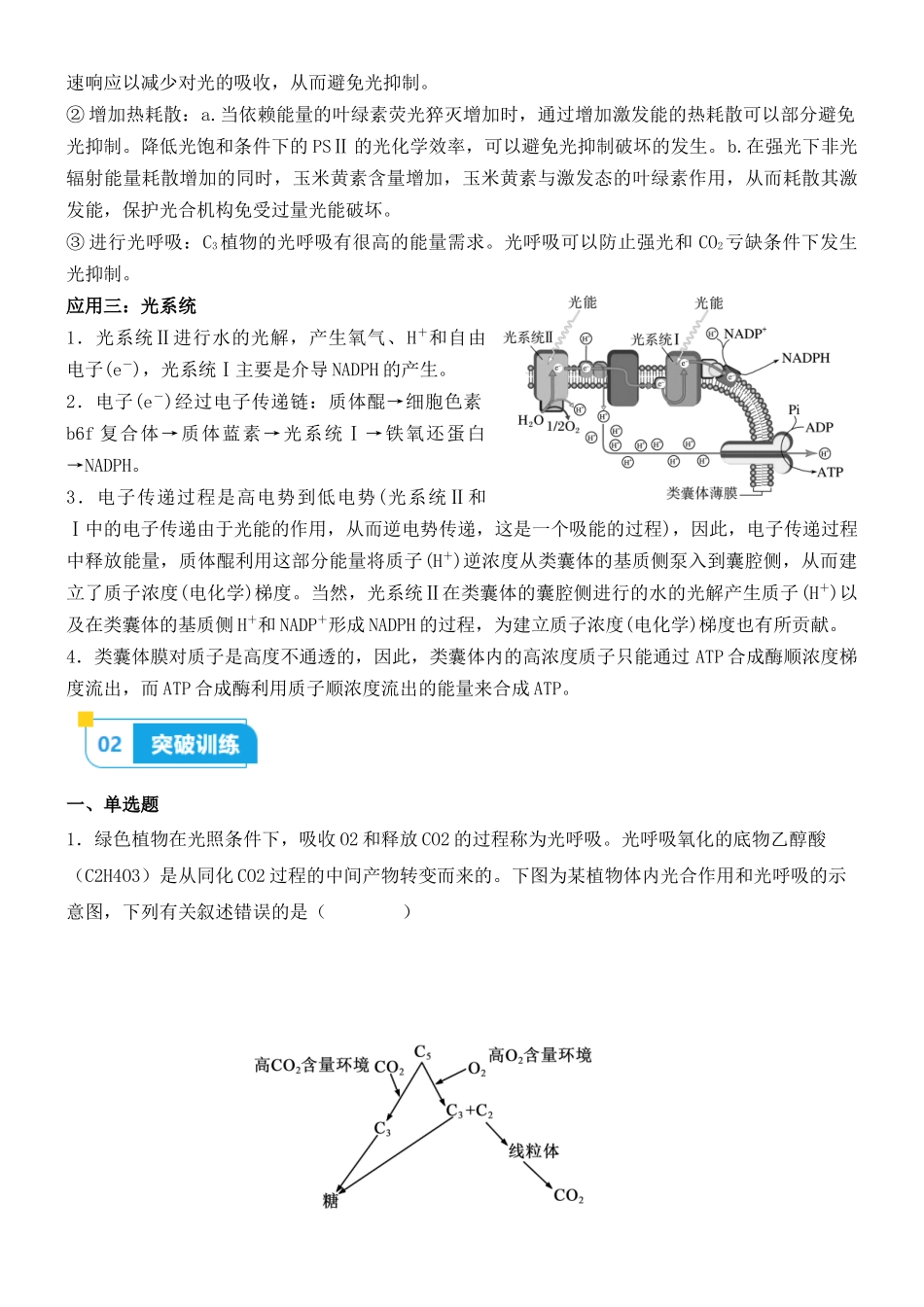 尖子生突破06 光呼吸、光抑制和光系统过程(解析版).docx_第2页