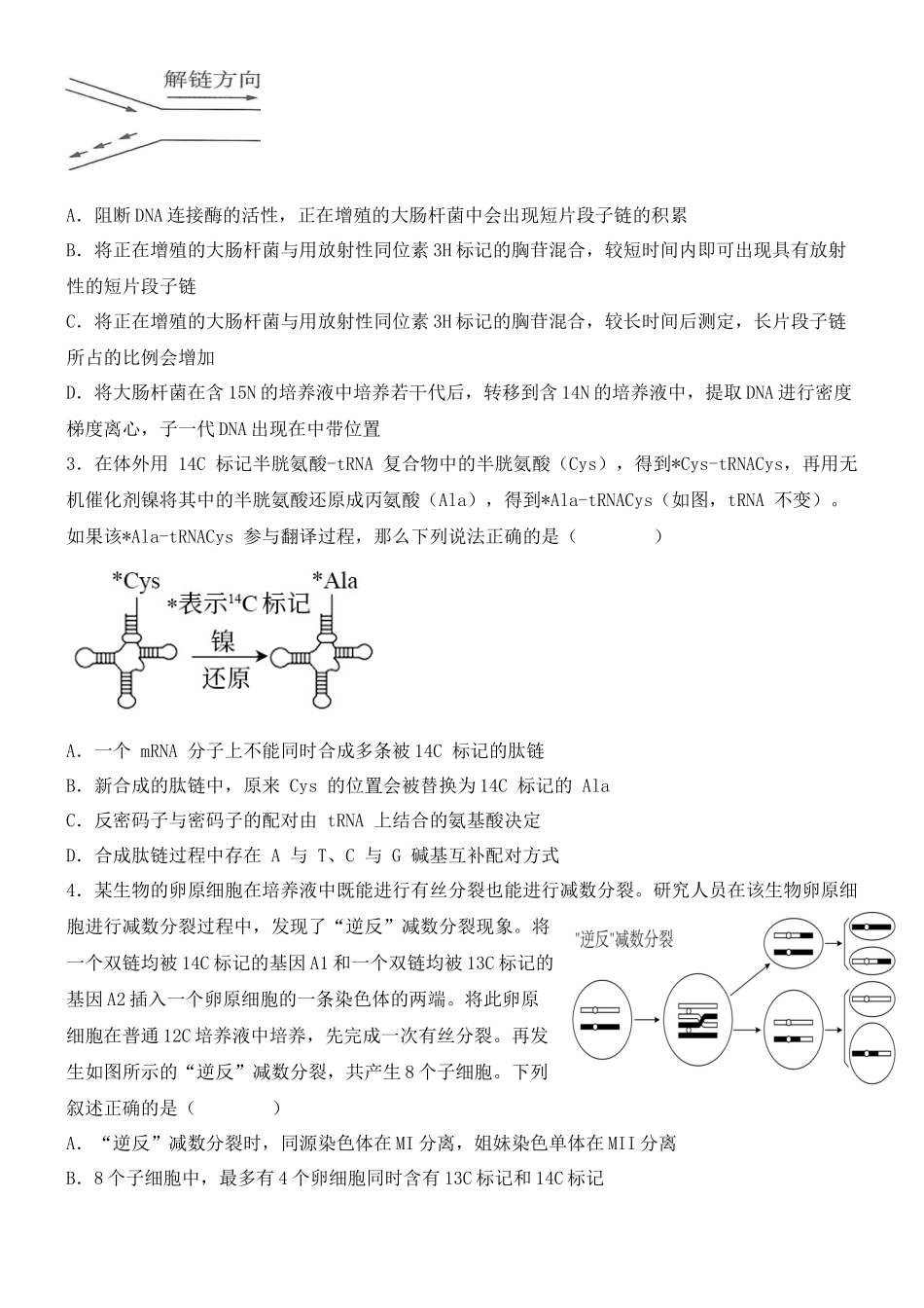 尖子生突破07 同位素的利用和荧光标记法(原卷版).docx_第2页