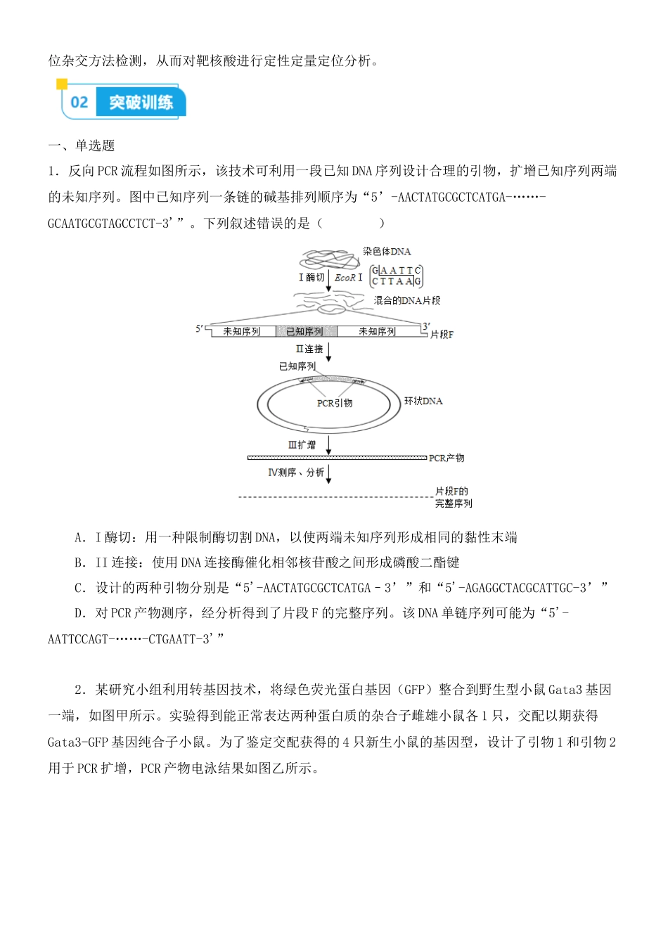 尖子生突破10 PCR技术的应用(原卷版).docx_第2页