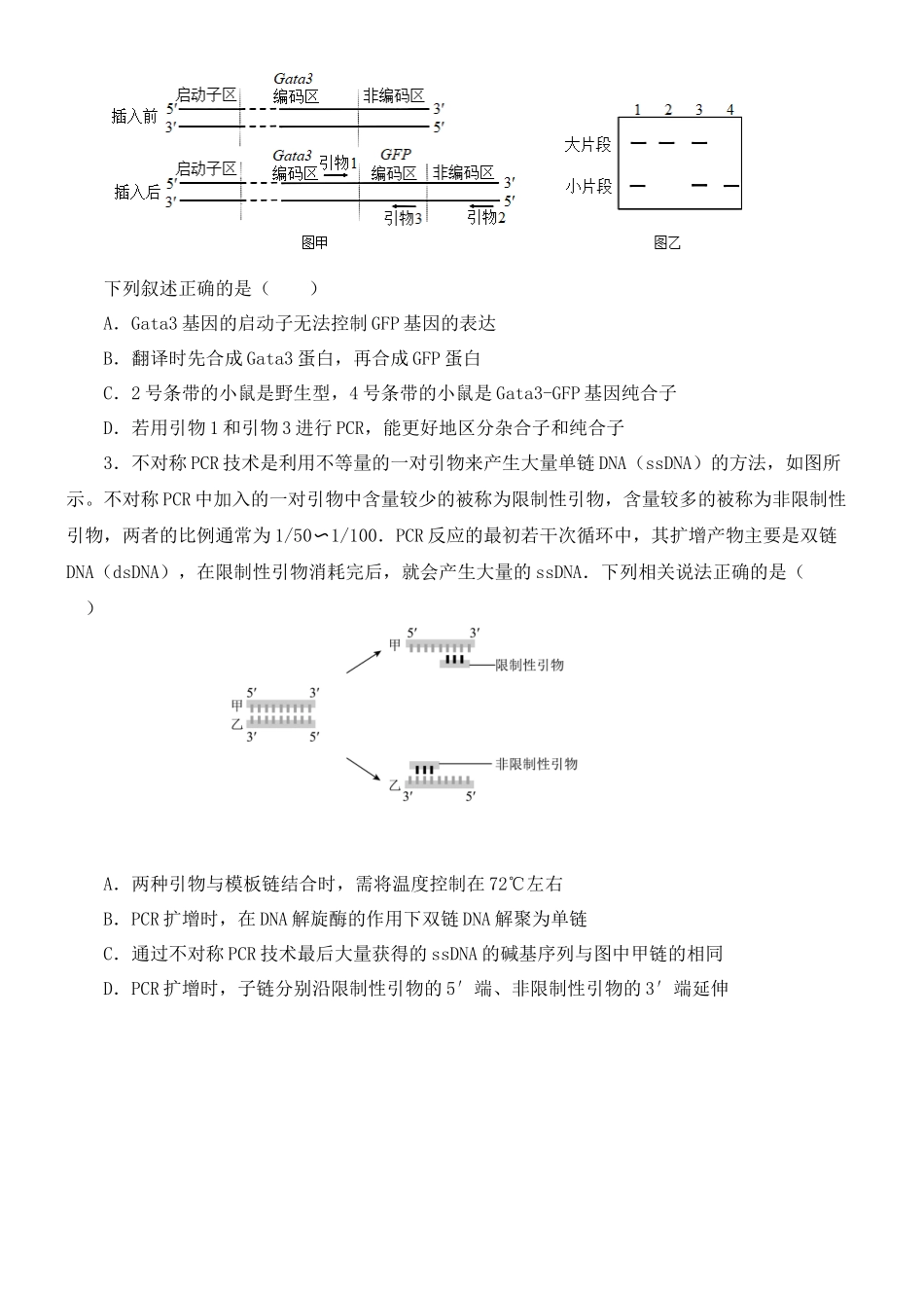 尖子生突破10 PCR技术的应用(原卷版).docx_第3页