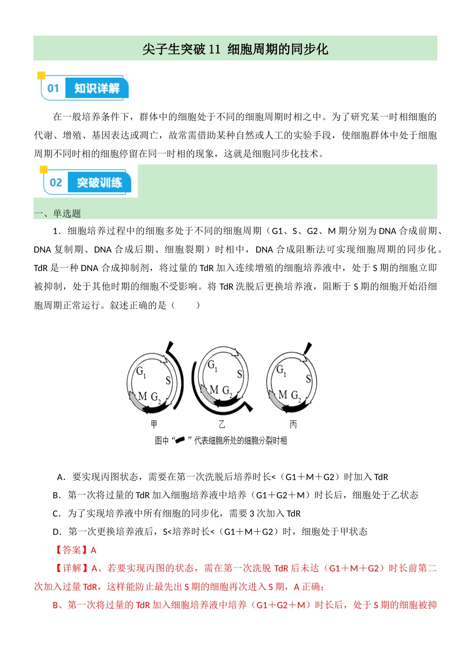 尖子生突破11 细胞周期的同步化(解析版).docx_第1页