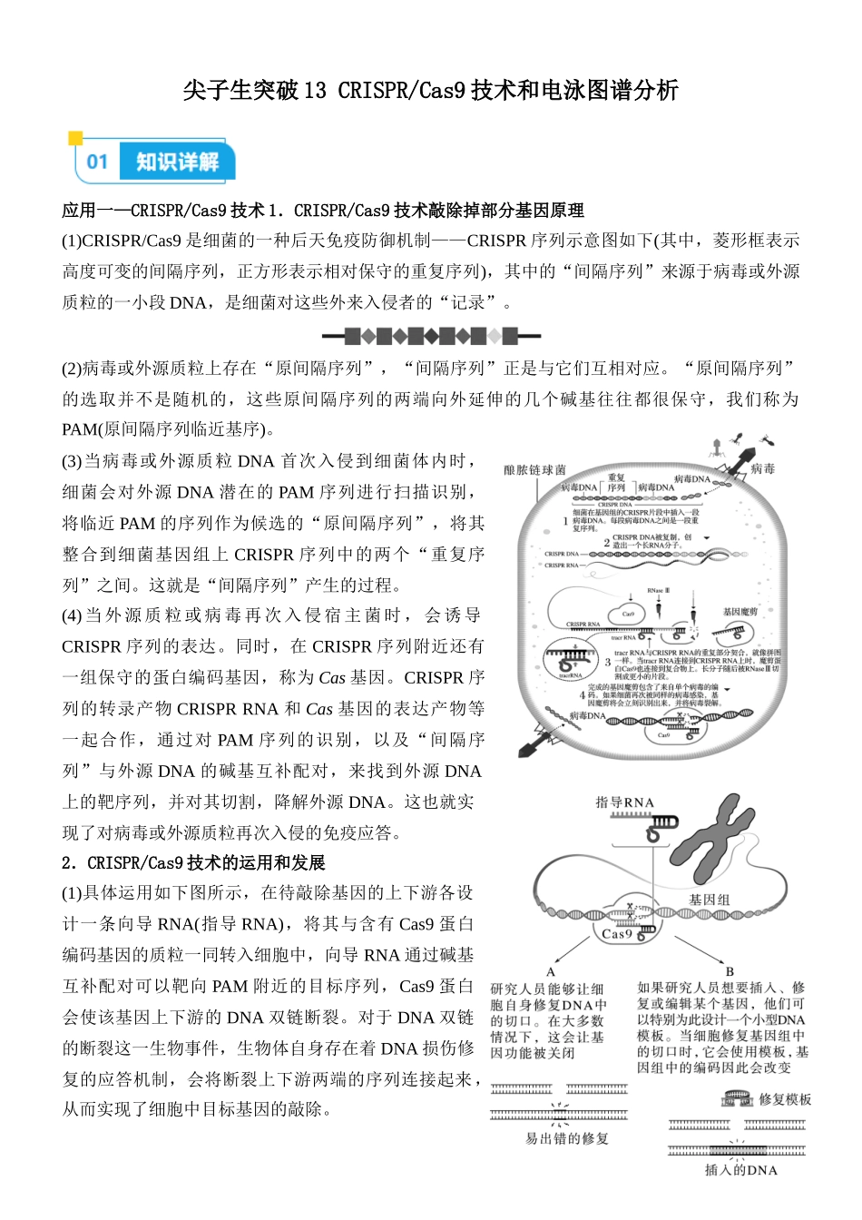 尖子生突破13 CRISPR Cas9技术和电泳图谱分析(原卷版).docx_第1页