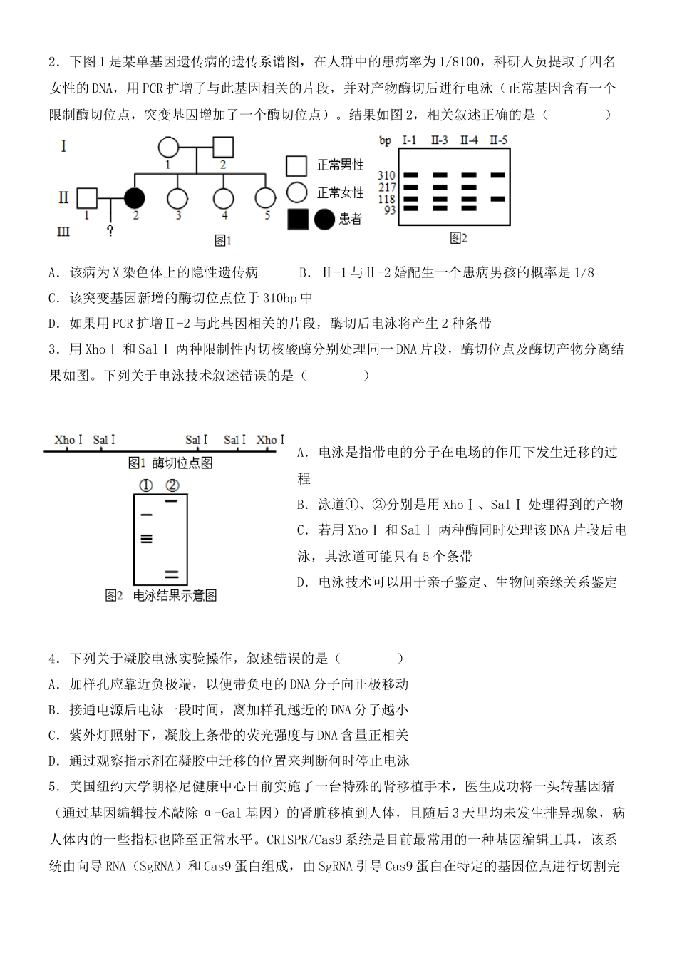 尖子生突破13 CRISPR Cas9技术和电泳图谱分析(原卷版).docx_第3页