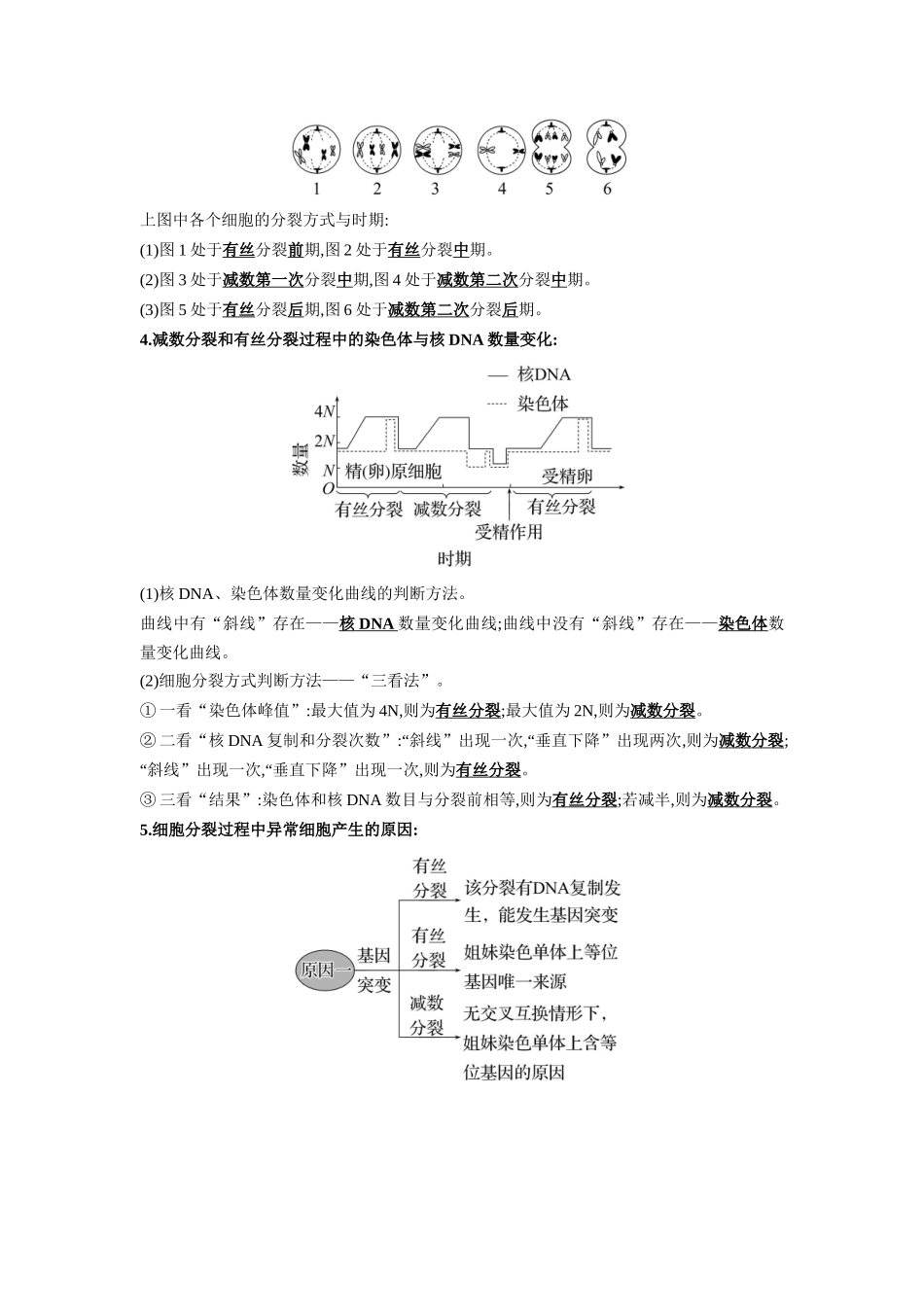 解密08 细胞分裂和受精作用(讲义)-【高频考点解密】2023年高考生物二轮复习讲义+分层训练(新教材).docx_第3页