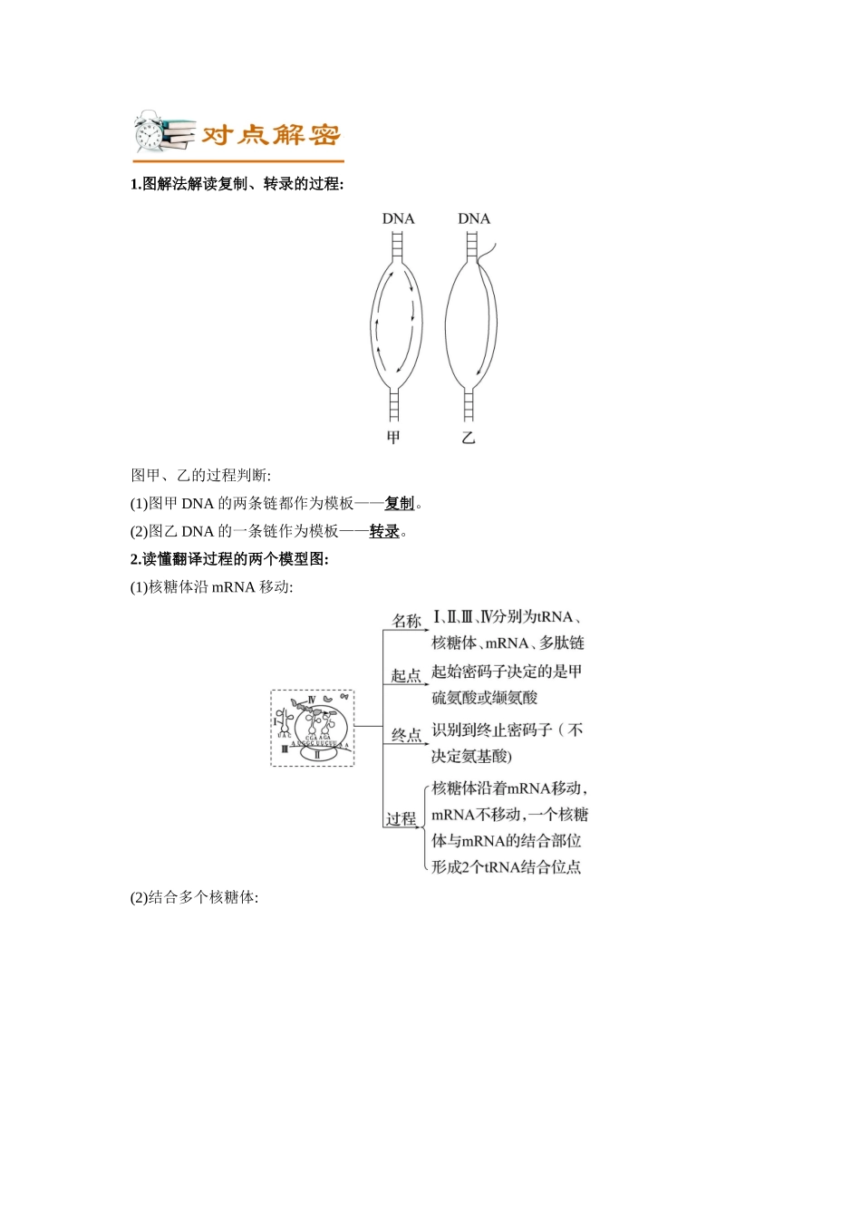 解密10 基因的表达(讲义)-【高频考点解密】2023年高考生物二轮复习讲义+分层训练(新教材).docx_第2页