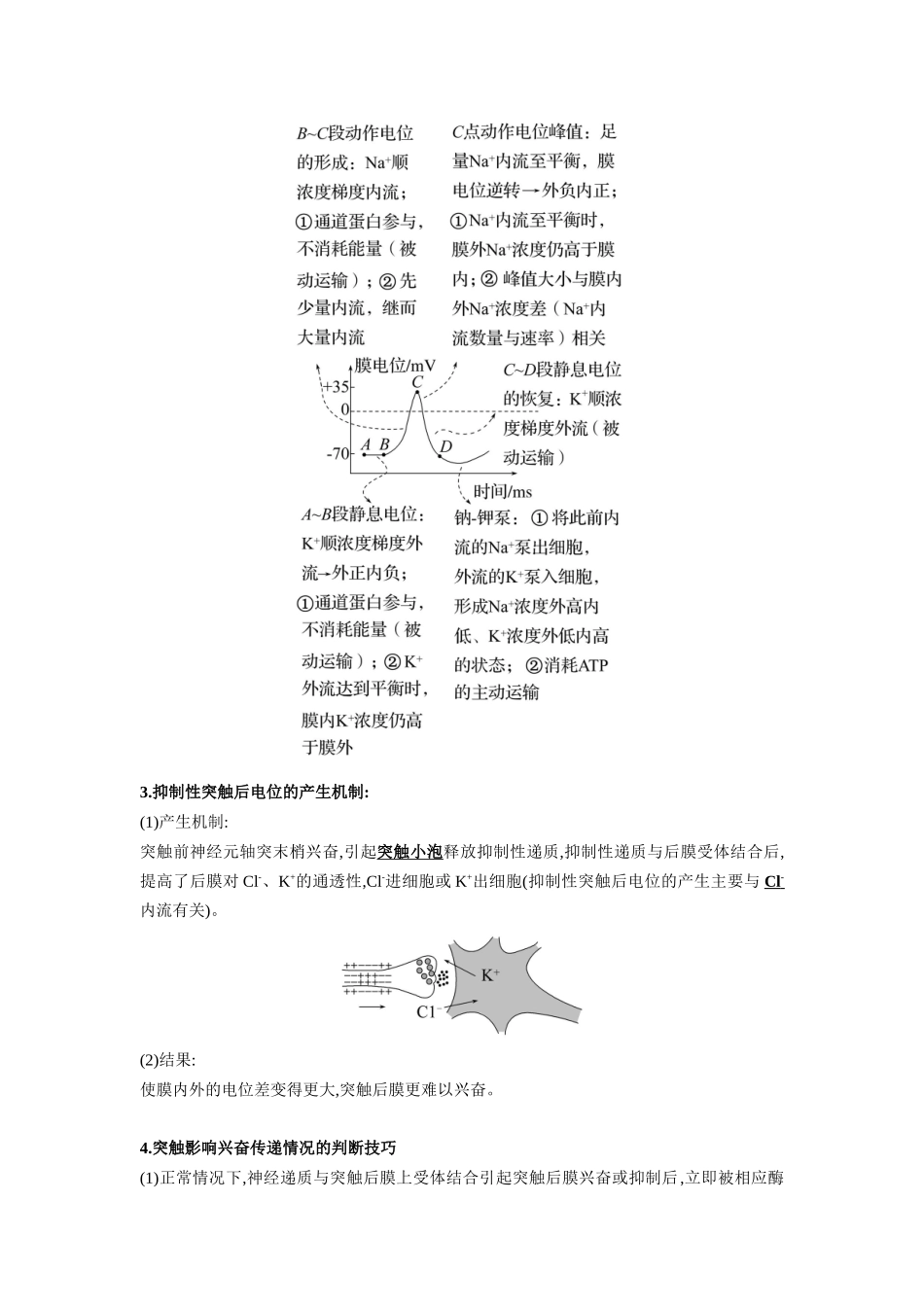 解密15 神经调节(讲义)-【高频考点解密】2023年高考生物二轮复习讲义+分层训练(新教材).docx_第3页