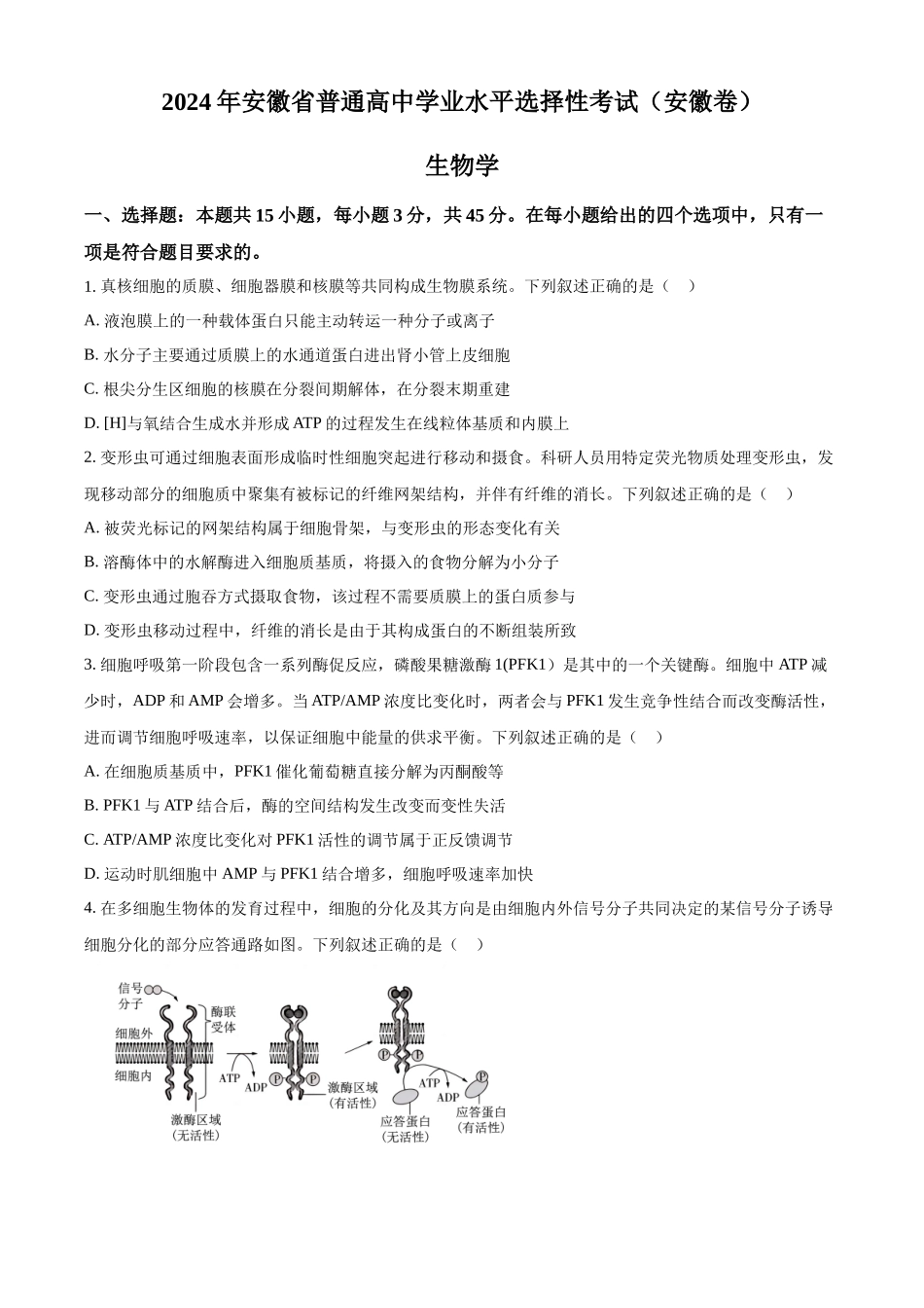 精品解析：2024年新课标高考真题安徽卷生物试卷（原卷版）.docx_第1页