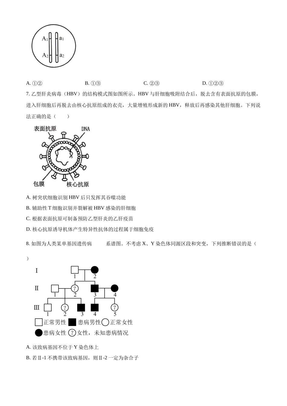 精品解析:2024年新课标高考真题山东卷生物(原卷版).docx_第3页