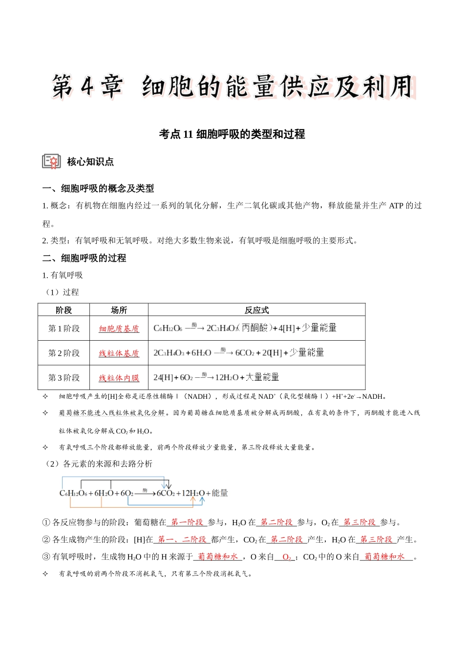 考点11&12 细胞呼吸的类型和过程及细胞呼吸的影响因素及应用（讲义）（解析版）.docx_第1页
