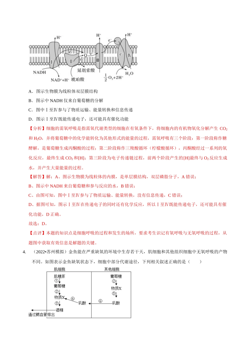考点11&12 细胞呼吸的类型和过程及细胞呼吸的影响因素及应用（精练）（解析版）.docx_第3页