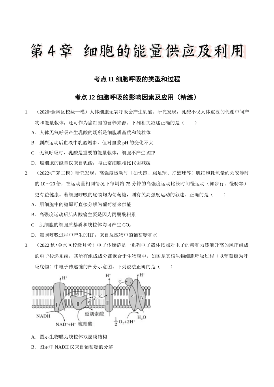 考点11&12 细胞呼吸的类型和过程及细胞呼吸的影响因素及应用（精练）（原卷版）.docx_第1页