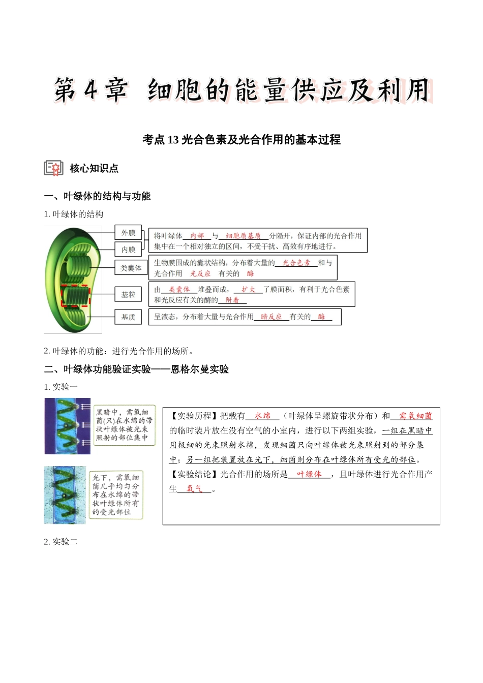考点13&考点14 光合色素及光合作用的基本过程光合作用的影响因素及应用（讲义）（解析版）.docx_第1页