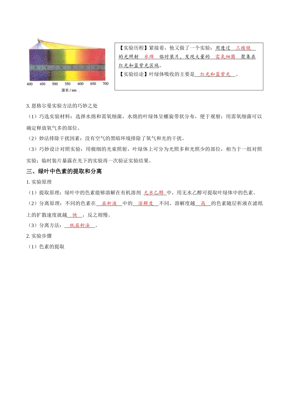考点13&考点14 光合色素及光合作用的基本过程光合作用的影响因素及应用（讲义）（解析版）.docx_第2页
