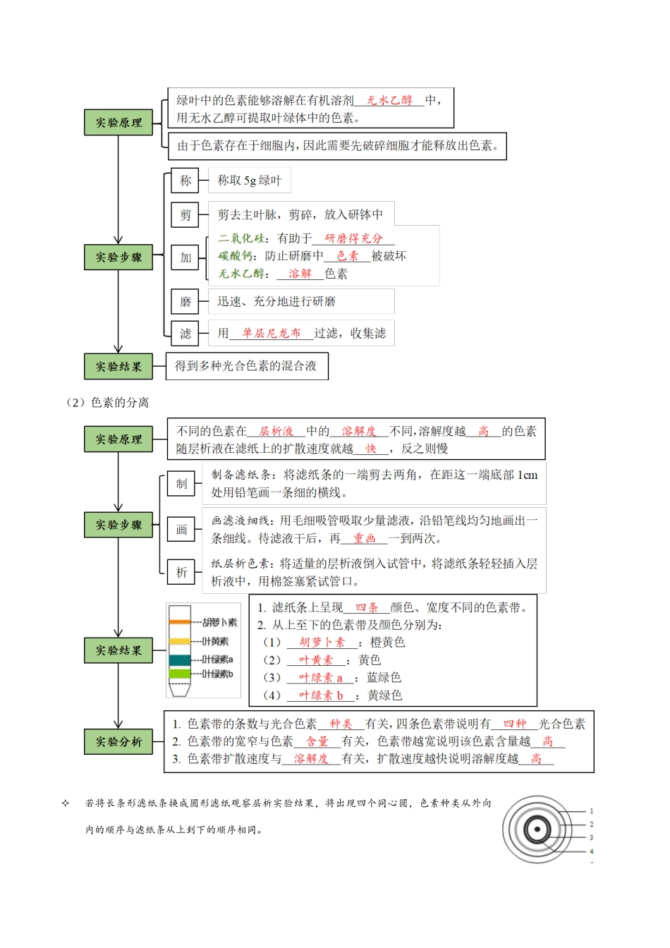考点13&考点14 光合色素及光合作用的基本过程光合作用的影响因素及应用（讲义）（解析版）.docx_第3页