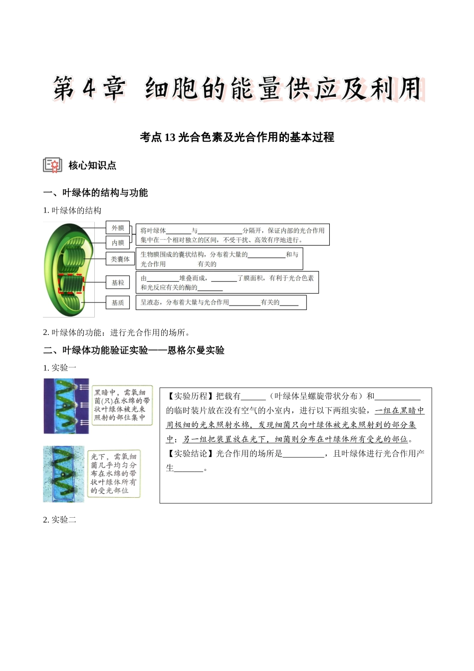 考点13&考点14 光合色素及光合作用的基本过程光合作用的影响因素及应用（讲义）（原卷版）.docx_第1页