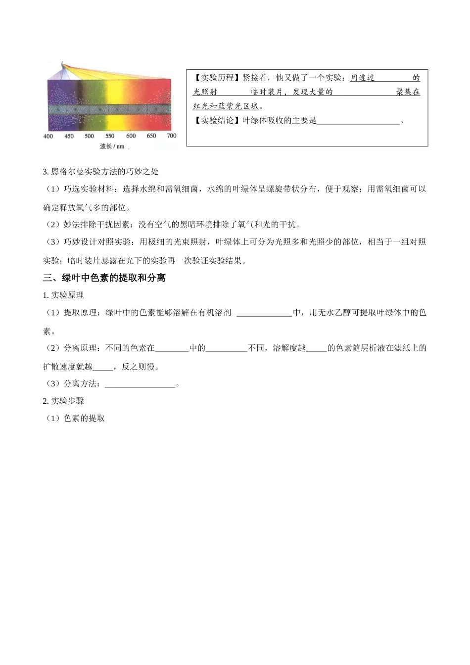 考点13&考点14 光合色素及光合作用的基本过程光合作用的影响因素及应用（讲义）（原卷版）.docx_第2页