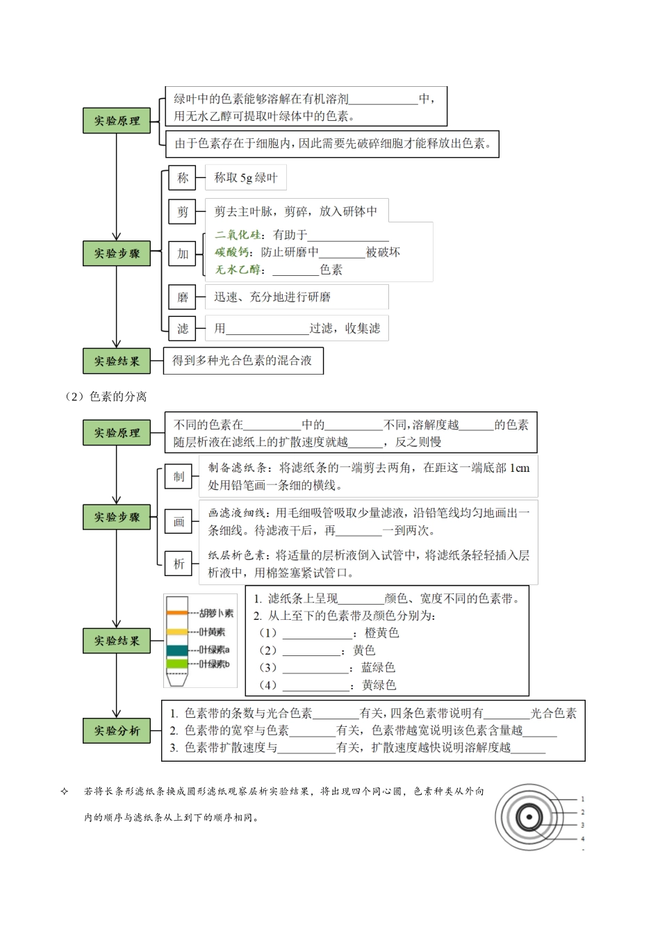 考点13&考点14 光合色素及光合作用的基本过程光合作用的影响因素及应用（讲义）（原卷版）.docx_第3页