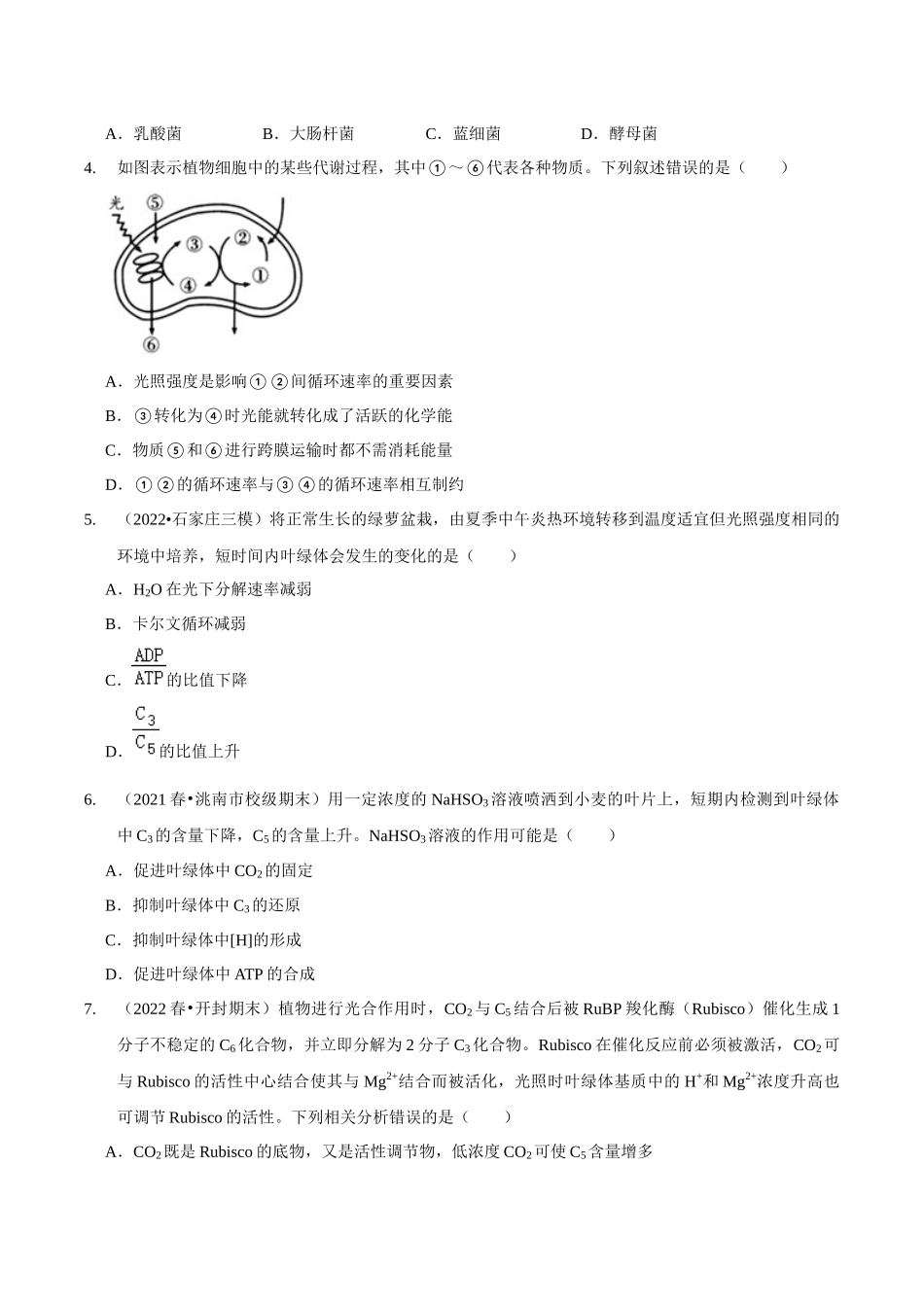 考点13&考点14 光合色素及光合作用的基本过程光合作用的影响因素及应用（精练）（原卷版）.docx_第2页