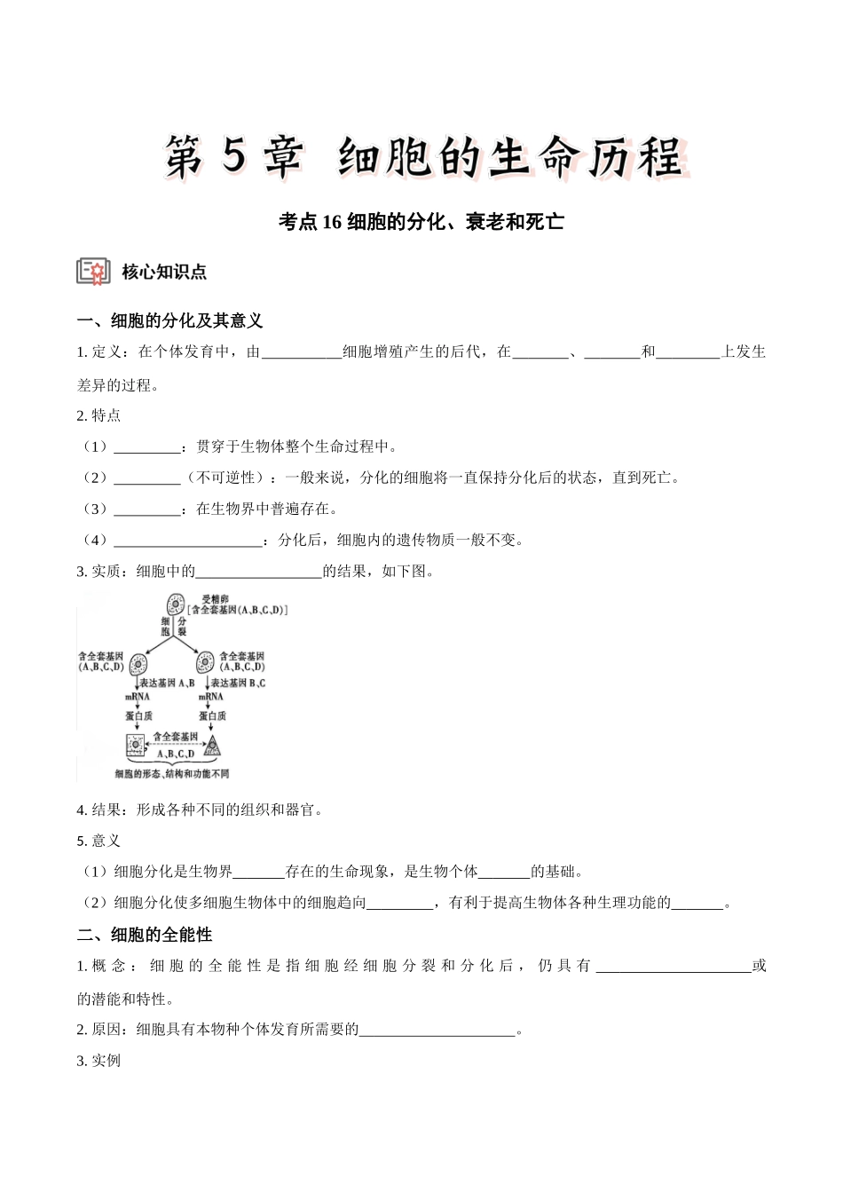 考点16 细胞的分化、衰老和死亡(讲义)(原卷版).docx_第1页