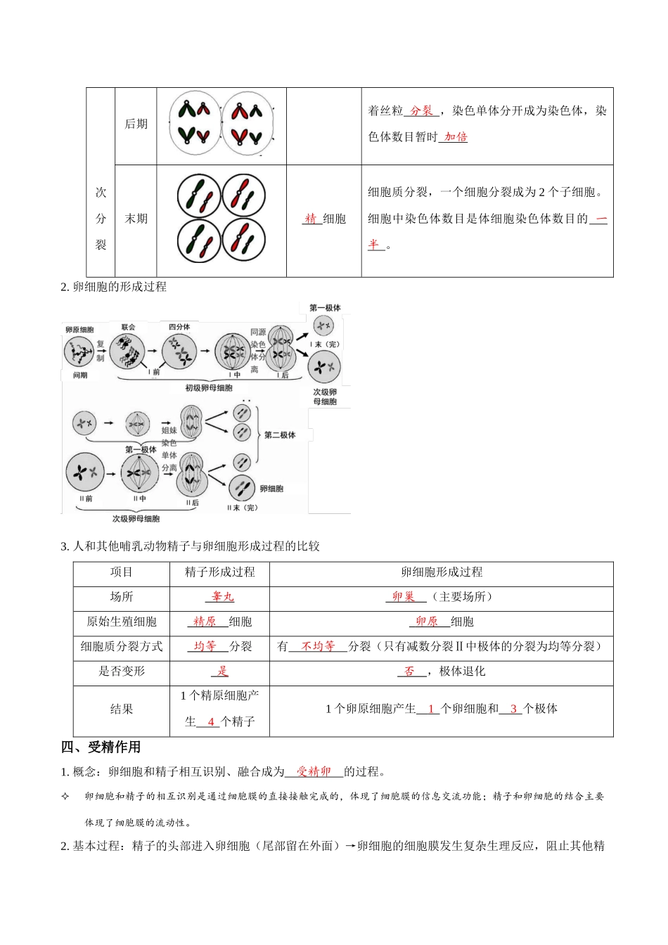 考点17 减数分裂和受精作用(讲义)(解析版).docx_第3页