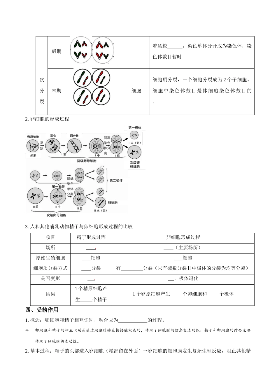 考点17 减数分裂和受精作用(讲义)(原卷版).docx_第3页