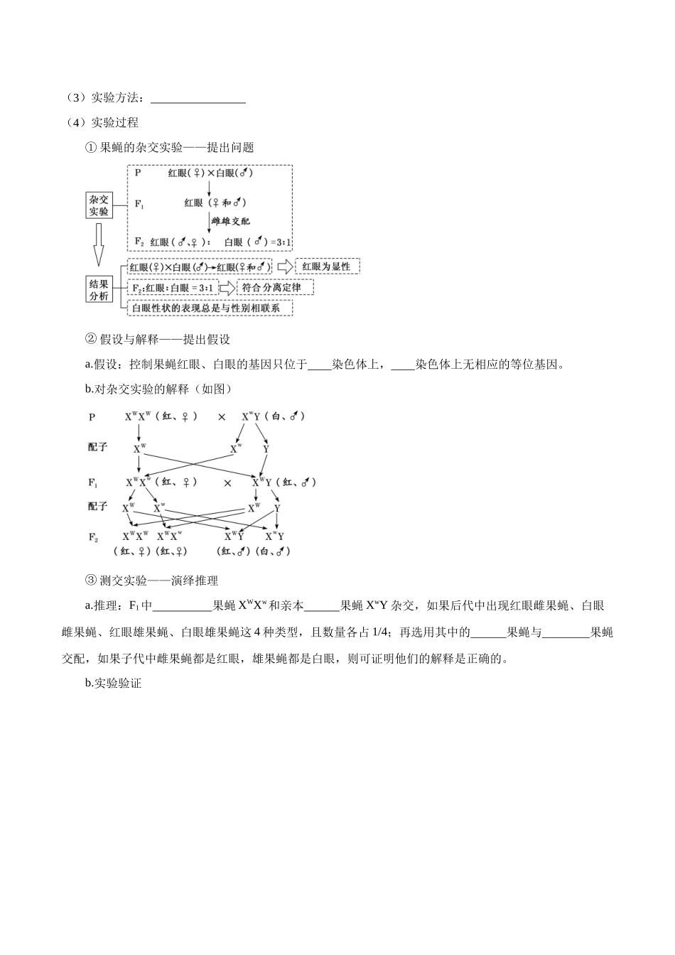 考点20 伴性遗传(讲义)(原卷版).docx_第2页
