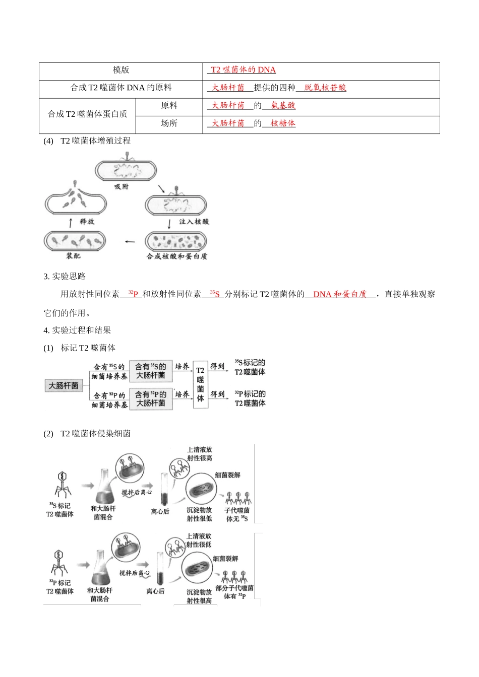 考点21 DNA是主要的遗传物质(讲义)(解析版).docx_第3页