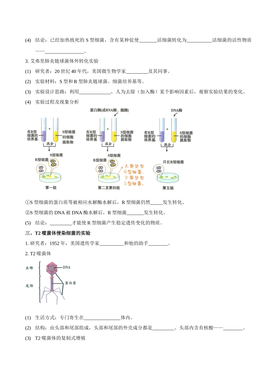 考点21 DNA是主要的遗传物质(讲义)(原卷版).docx_第2页