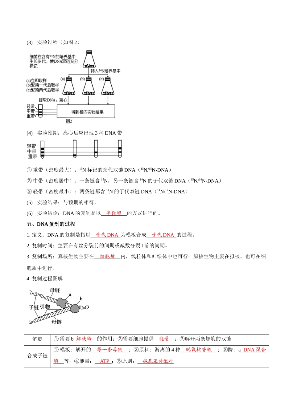 考点22 DNA的结构与复制(讲义)(解析版).docx_第3页
