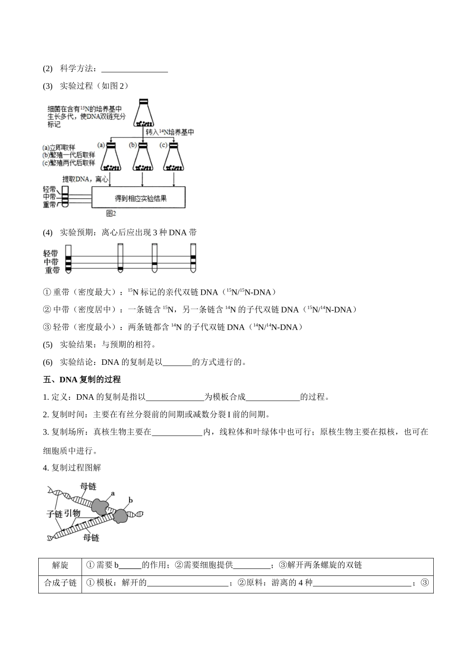 考点22 DNA的结构与复制(讲义)(原卷版).docx_第3页