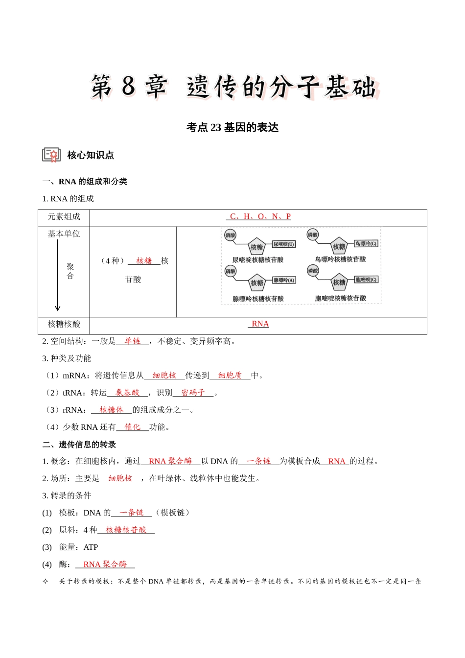 考点23 基因的表达(讲义)(解析版).docx_第1页