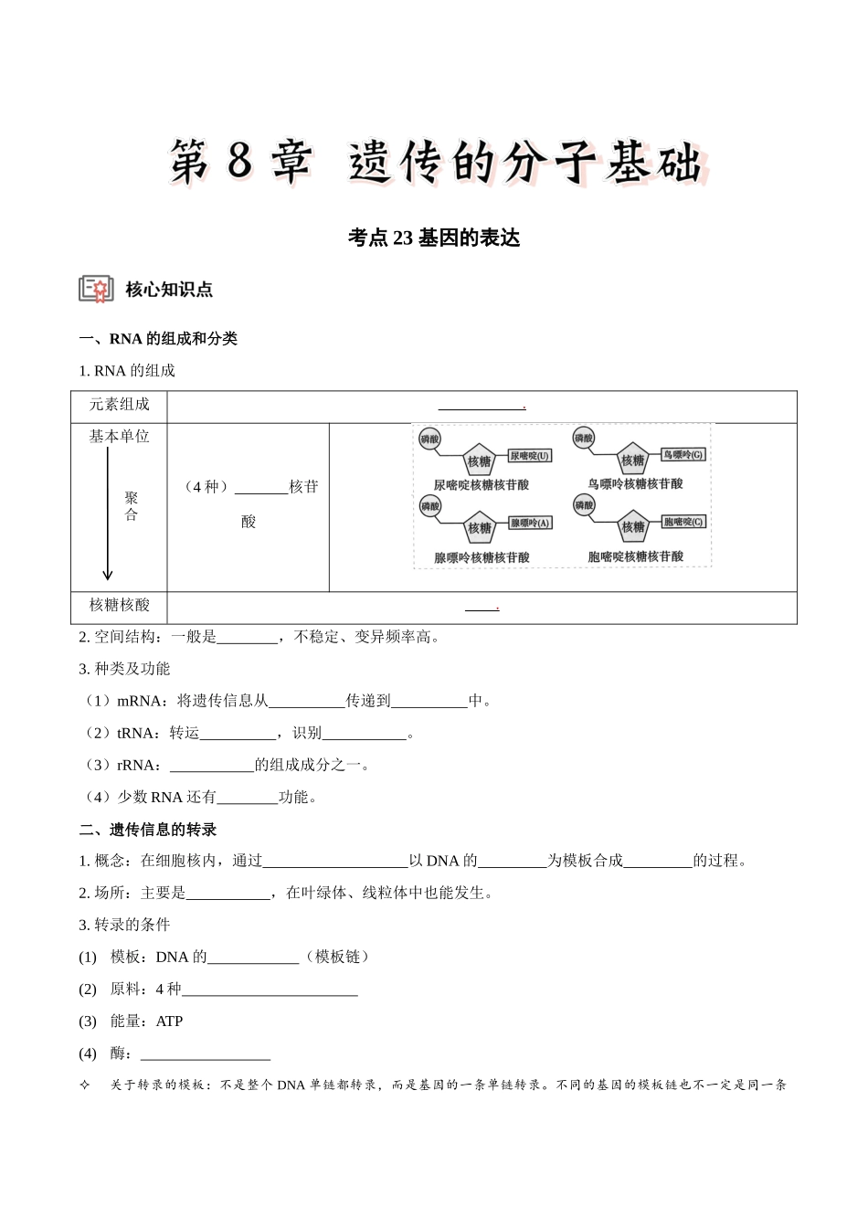 考点23 基因的表达(讲义)(原卷版).docx_第1页
