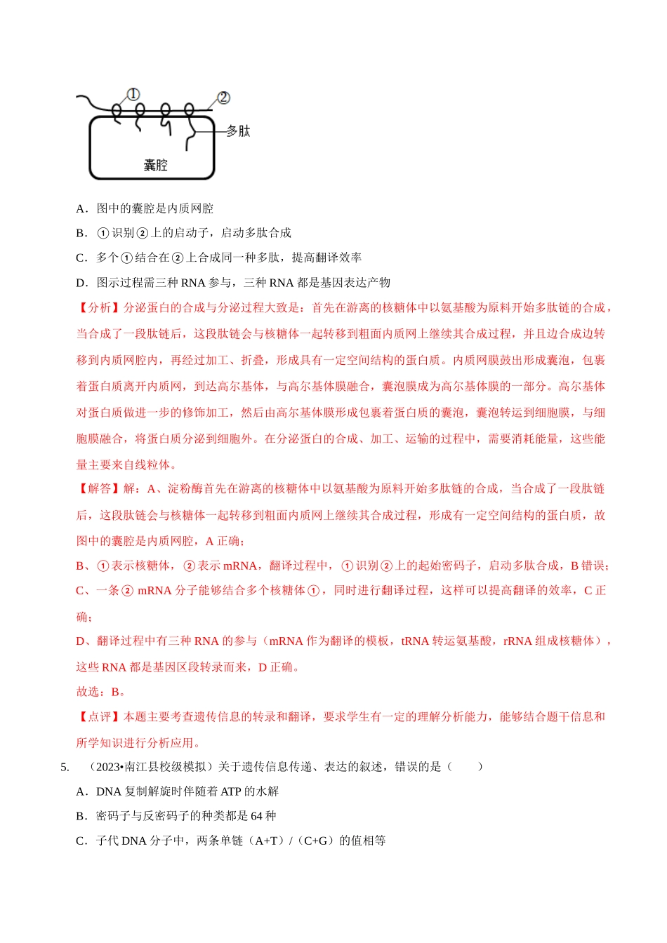 考点23 基因的表达(精练)(解析版).docx_第3页