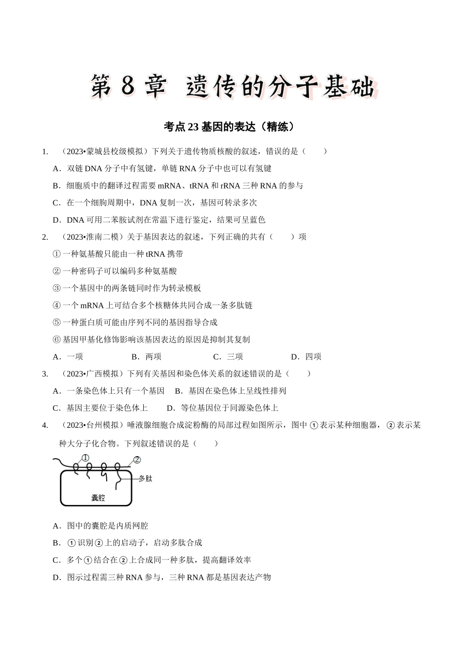 考点23 基因的表达(精练)(原卷版).docx_第1页