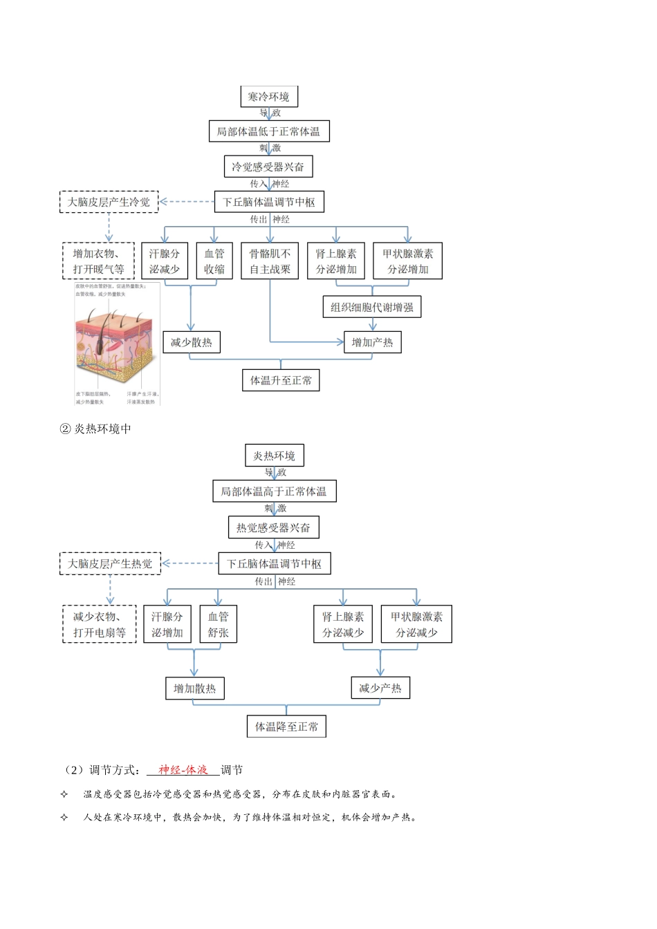 考点31 神经调节与体液调节的关系(讲义)(解析版).docx_第2页