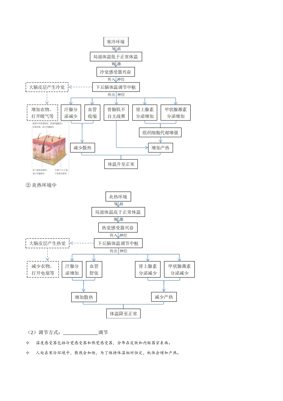考点31 神经调节与体液调节的关系(讲义)(原卷版).docx_第2页