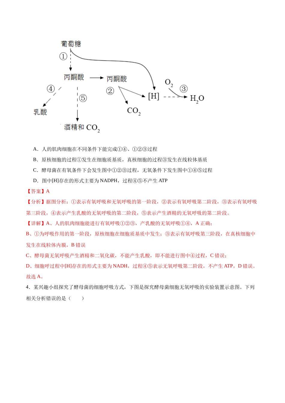 考点通关卷09 细胞呼吸(解析版).docx_第3页
