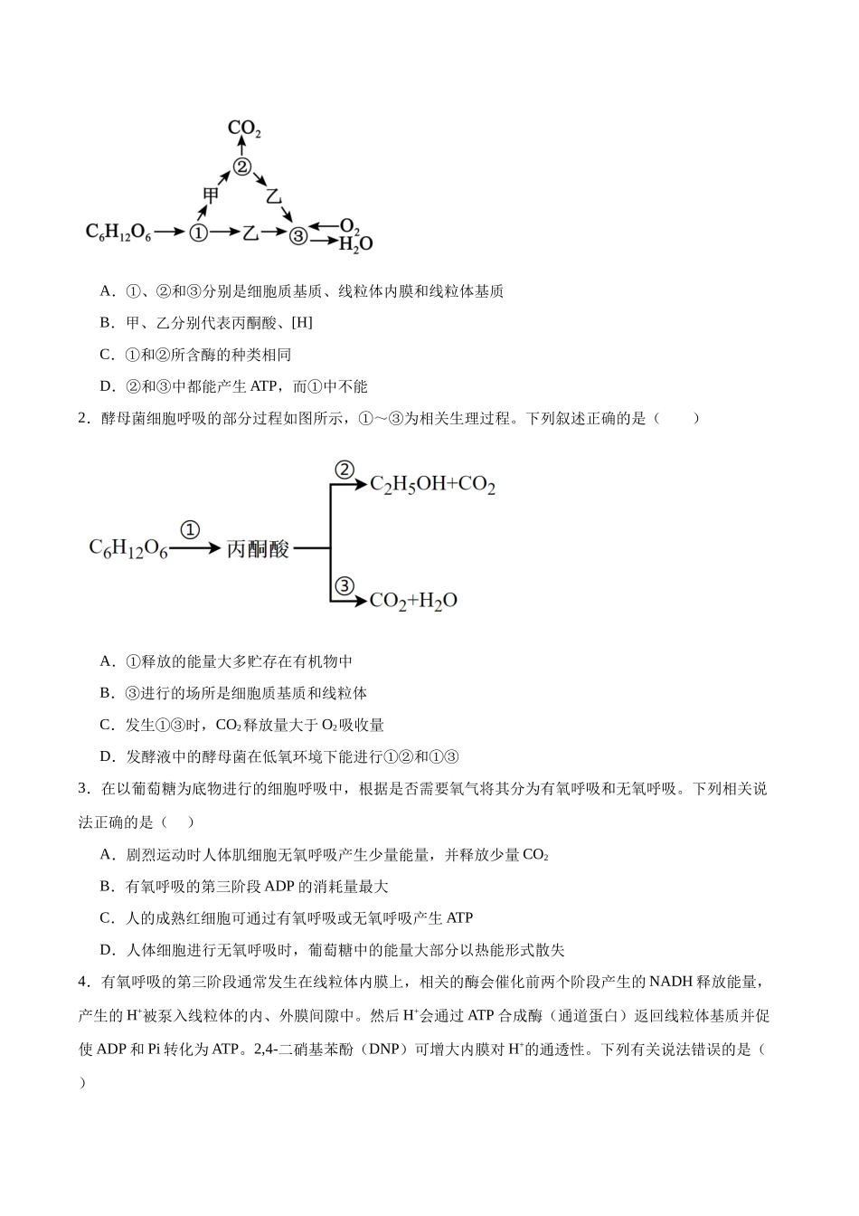 考点通关卷09 细胞呼吸(学生版).docx_第2页