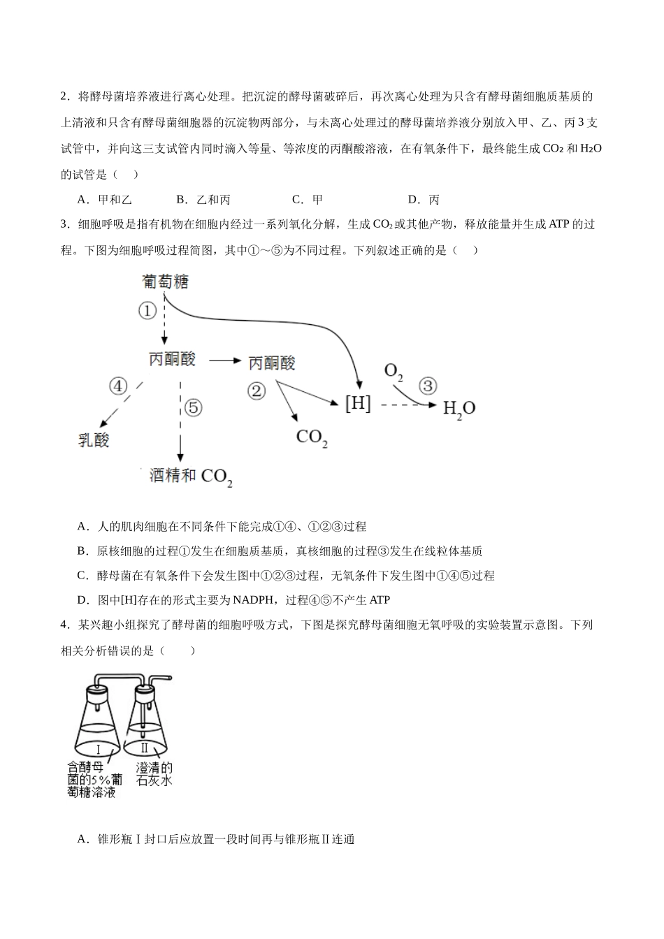 考点通关卷09 细胞呼吸(原卷版).docx_第2页
