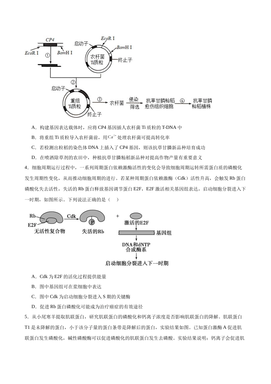 考点通关卷10 光合作用(原卷版).docx_第3页