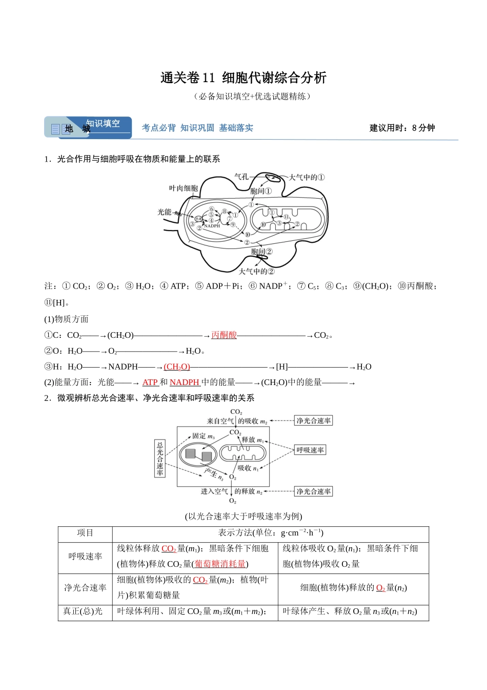 考点通关卷11 细胞代谢综合分析(解析版).docx_第1页