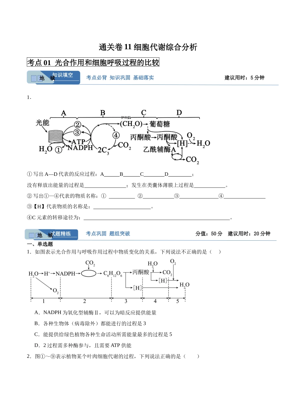 考点通关卷11 细胞代谢综合分析(学生版).docx_第1页
