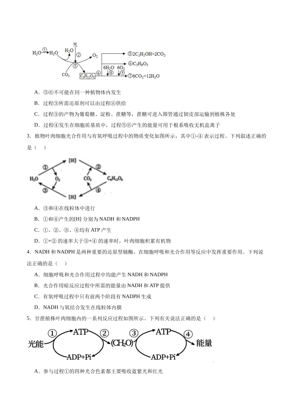 考点通关卷11 细胞代谢综合分析(学生版).docx_第2页