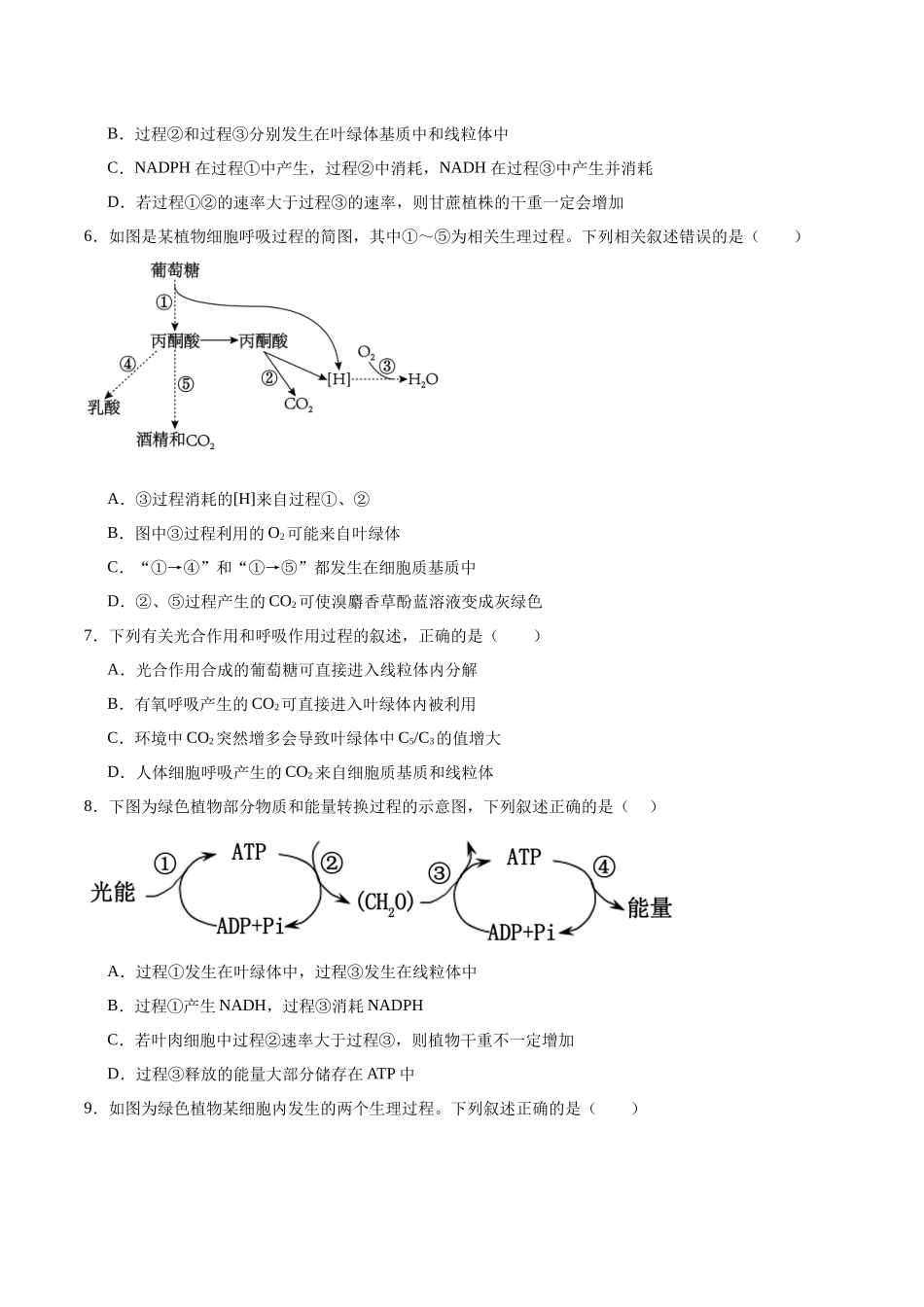 考点通关卷11 细胞代谢综合分析(学生版).docx_第3页