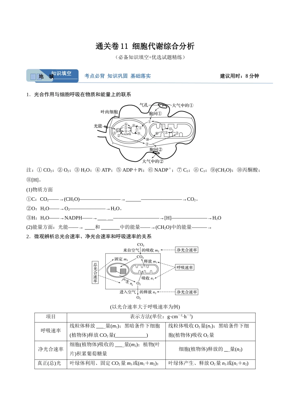 考点通关卷11 细胞代谢综合分析（原卷版）.docx_第1页