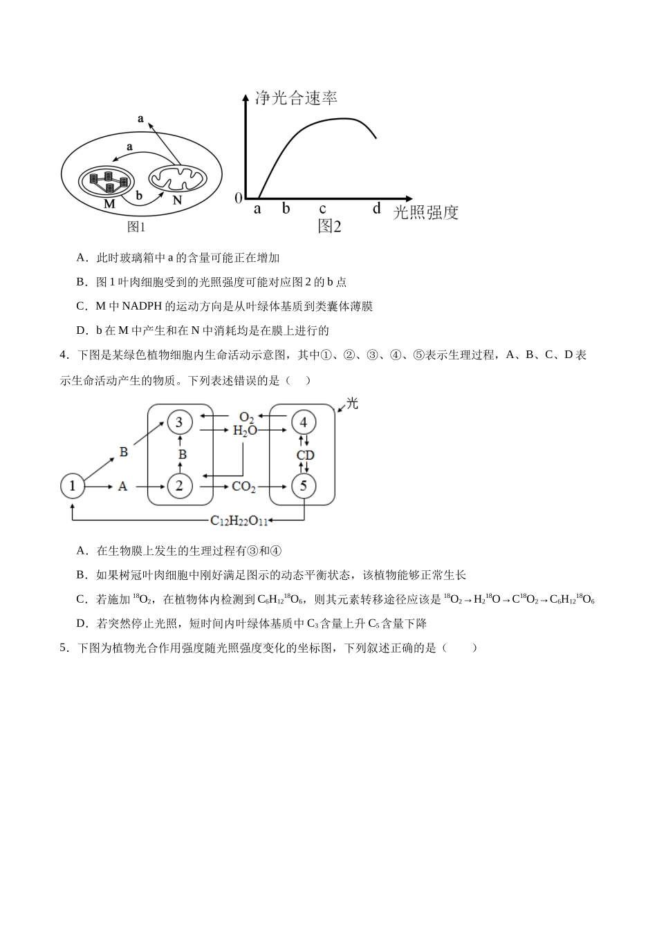 考点通关卷11 细胞代谢综合分析（原卷版）.docx_第3页