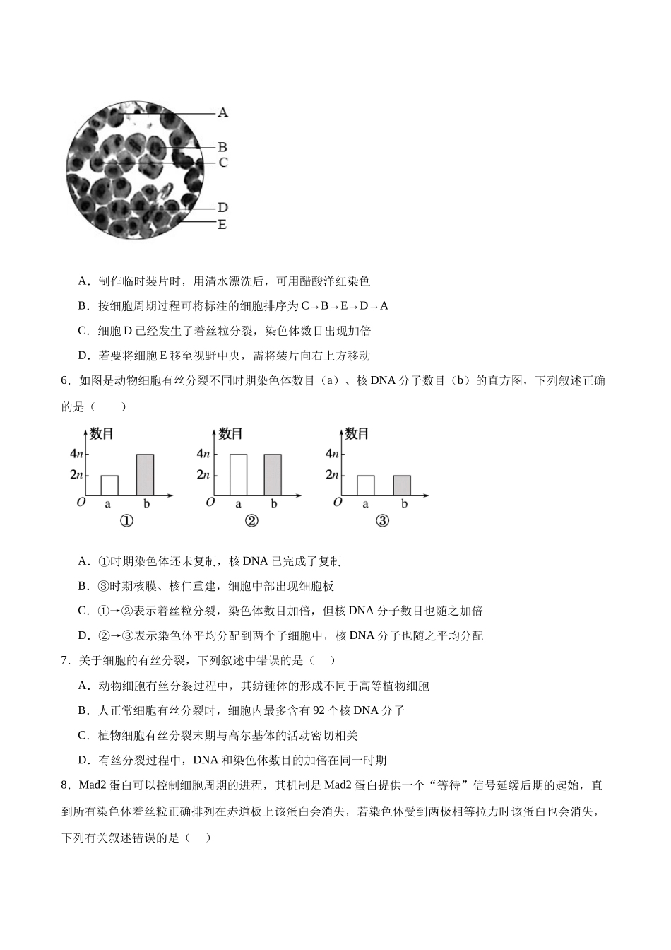 考点通关卷12 细胞增殖(原卷版).docx_第3页